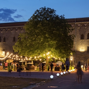 Wilhelmsburg Ulm - Foto: Stadtarchiv, Stadt Ulm